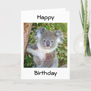 "KOALA BIRTHDAY GREETINGS" KARTE
