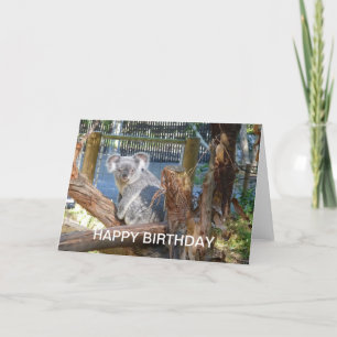 Koala Birthday Karte