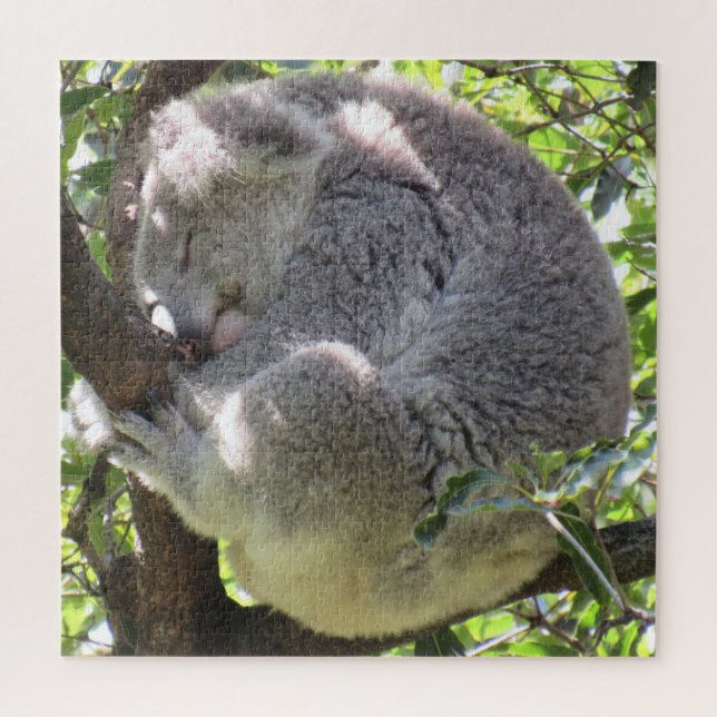Koala-Bündel Puzzle (Vertikal)