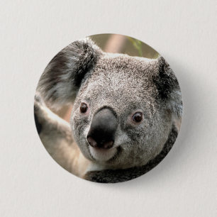 Koala Button