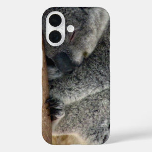 Koala iPhone 16 Hülle