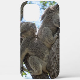 Koala Case-Mate iPhone Hülle
