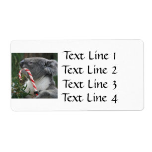 Koala Christmas Candy Cane