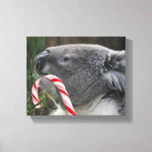 Koala Christmas Candy Cane Leinwanddruck