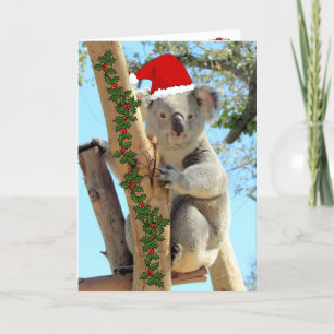 Koala Christmas Card Karte