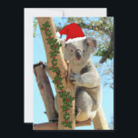 Koala Christmas Flat Card Feiertagskarte<br><div class="desc">Bild von einem Koala - alle bereit für Weihnachten. Viele lustige Details auf der Rückseite. Aktualisieren Sie den Text einfach</div>