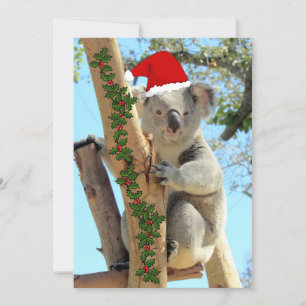 Koala Christmas Flat Card Feiertagskarte
