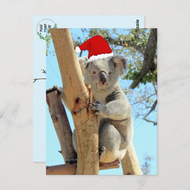 Koala Christmas Postcard Postkarte (Vorne/Hinten)
