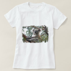 Koala-Damen-T - Shirt
