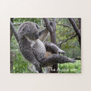 Koala - das Puzzle der australischen Weise
