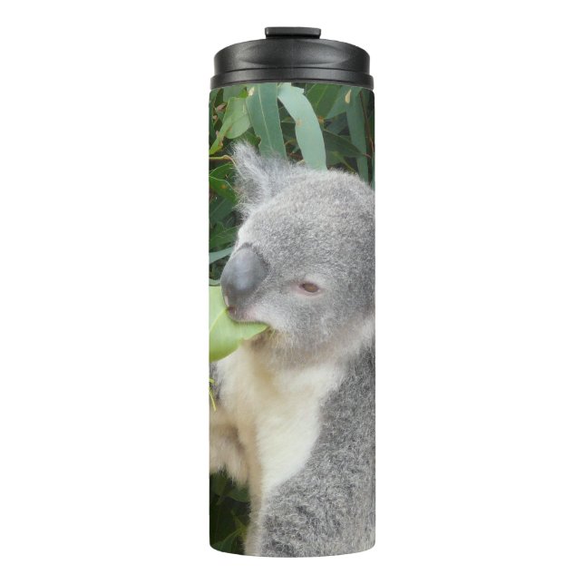 Koala, der ein Gummiblatt trinkt Flasche (Vorderseite)