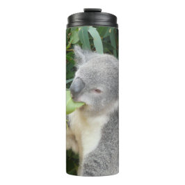 Koala Eating Gum Leaf Drink Flasche