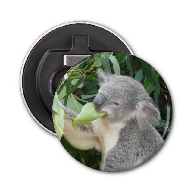 Koala Eating Gum Leaf Flaschenöffner (Vorderseite)