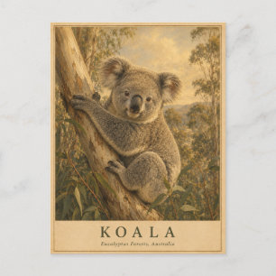 Koala Eukalyptuswald VINTAGE Postkarte