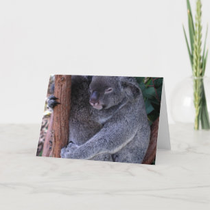 Koala Family Grußkarte Karte