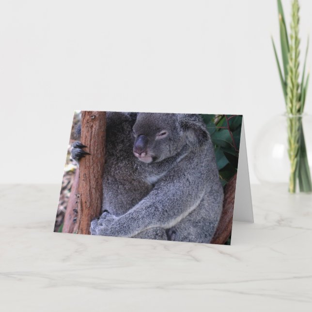 Koala Family Grußkarte Karte (Vorderseite)
