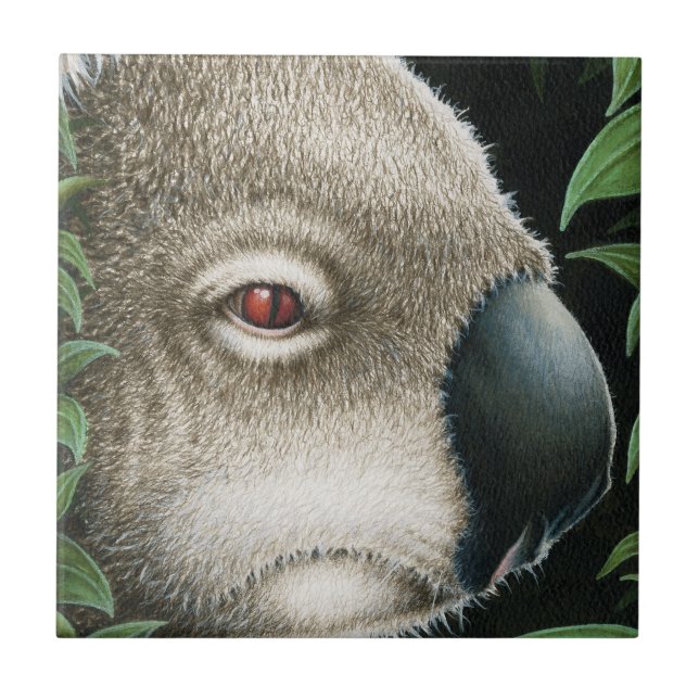 Koala-Fliese Fliese (Vorderseite)