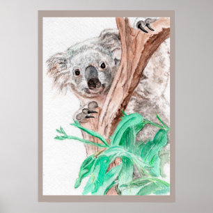 Koala, Flüchtige Blick-a-Boo Poster
