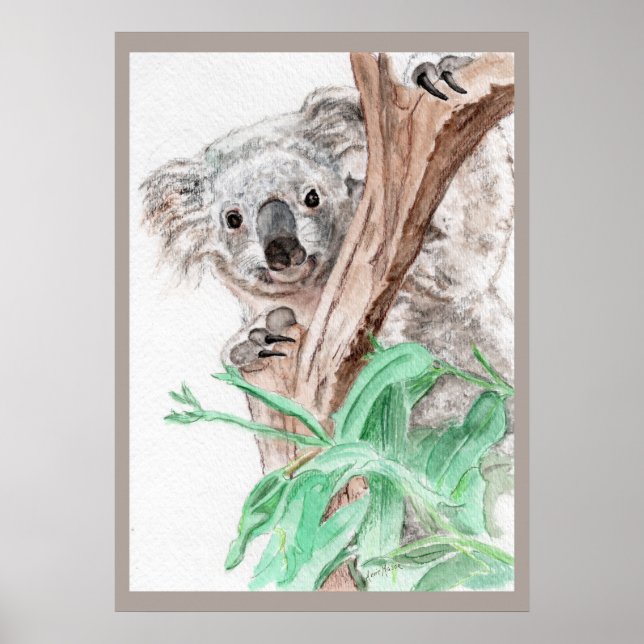 Koala, Flüchtige Blick-a-Boo Poster (Vorne)