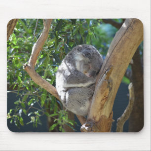 Koala-Foto Mousepad