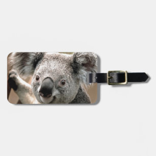 Koala Gepäckanhänger