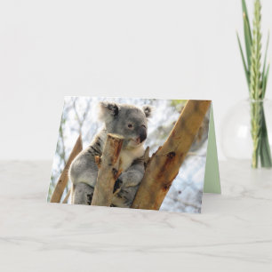 Koala Greeting Card Karte