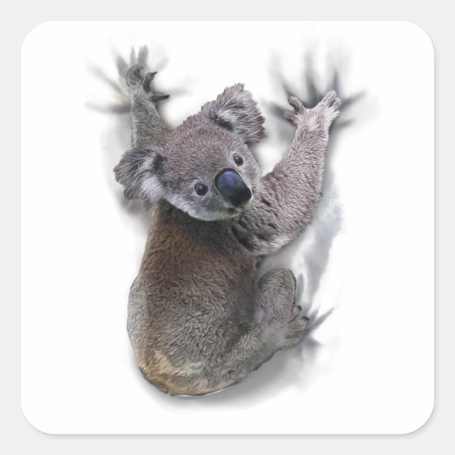 Koala Hang auf dem Niedlichen Bär Australien Tier Quadratischer Aufkleber (Vorderseite)
