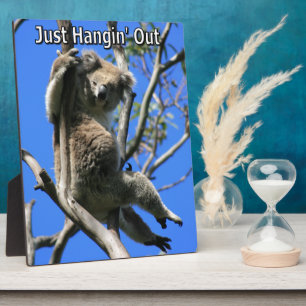 Koala Hangout in Australien Fotoplatte