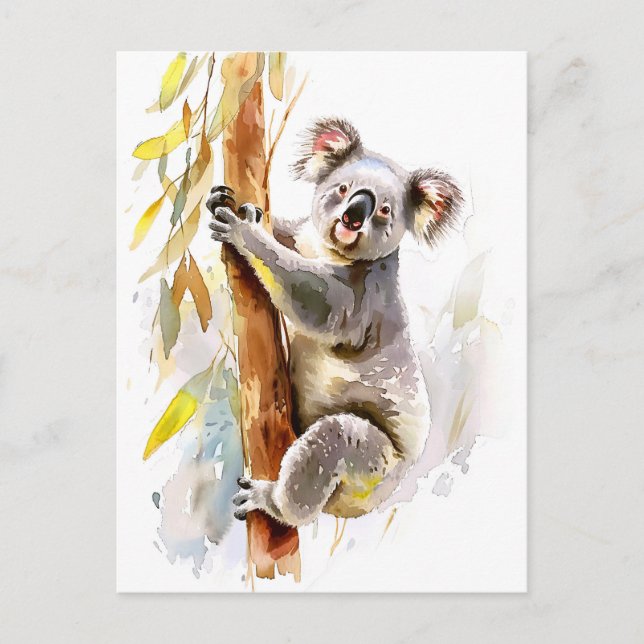 Koala Highlights Postkarte (Vorderseite)