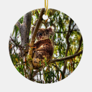 KOALA IN DEN KUNST-EFFEKTEN BAUM-QUEENSLANDS KERAMIK ORNAMENT