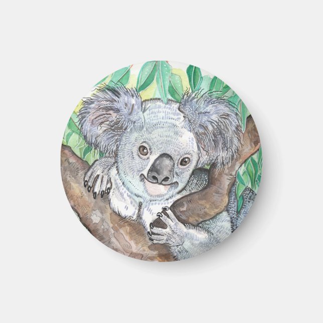 Koala in Eukalyptus Tree Painting Magnet (Vorne)