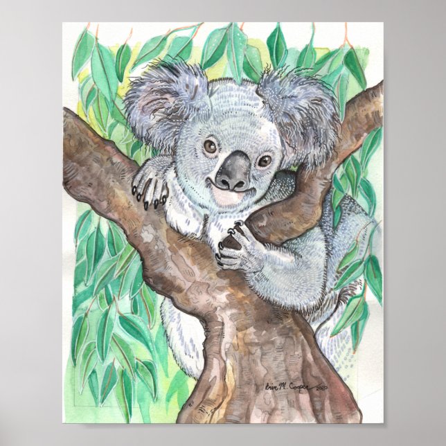 Koala in Eukalyptus Tree Painting Poster (Vorne)