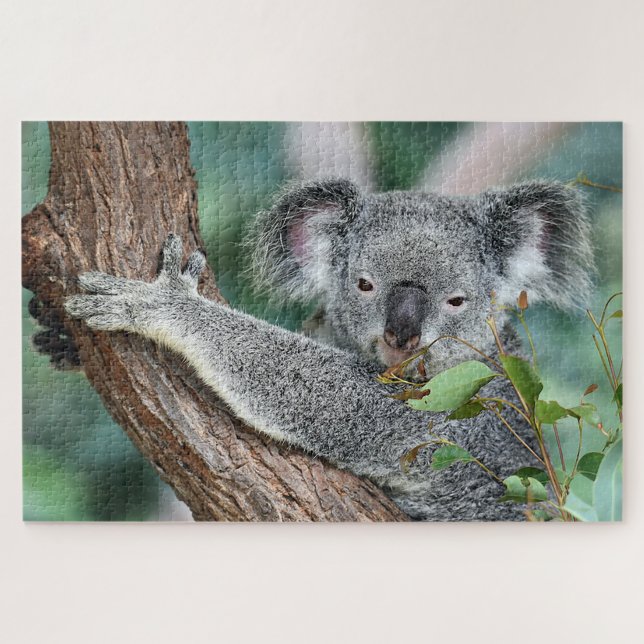 Koala in Tree Puzzle (Horizontal)
