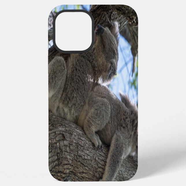 Koala iPhone Hülle (Rückseite)