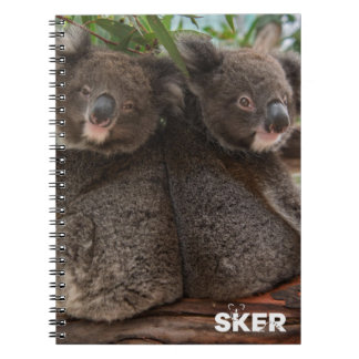 Koala Joeys violettes und bröckelndes Notizbuch Notizblock
