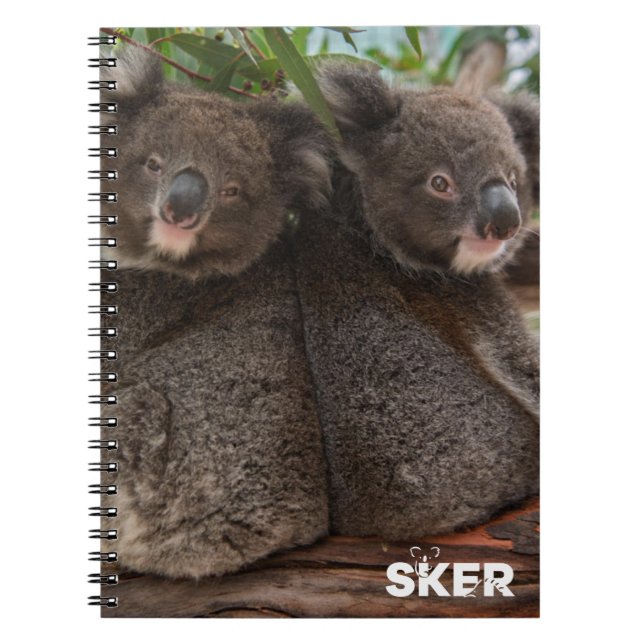 Koala Joeys violettes und bröckelndes Notizbuch Notizblock (Vorderseite)