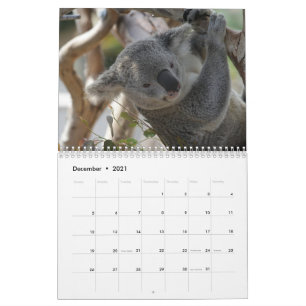 Koala Kalender
