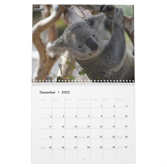 Koala Kalender (Dez 2022)