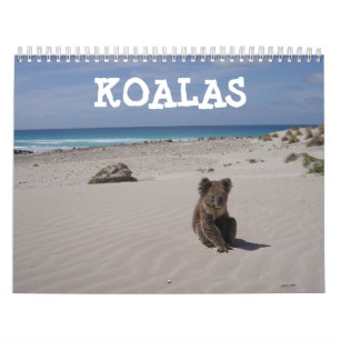 Koala Kalender