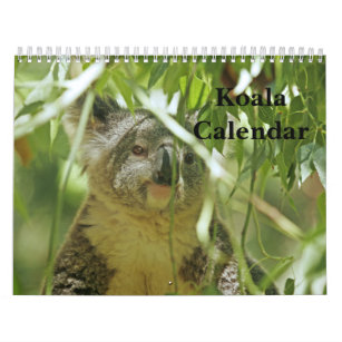 Koala-Kalender Kalender