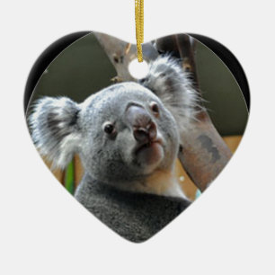 "Koala " Keramikornament