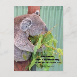 Koala Kindness Quote Postcard Postkarte