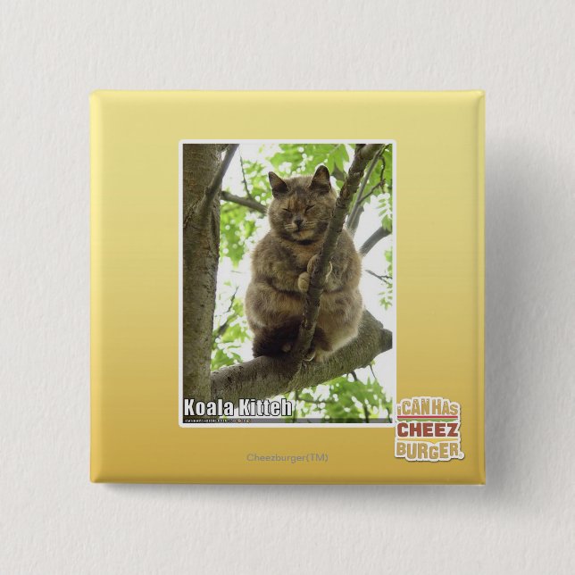 Koala Kitteh Button (Vorderseite)