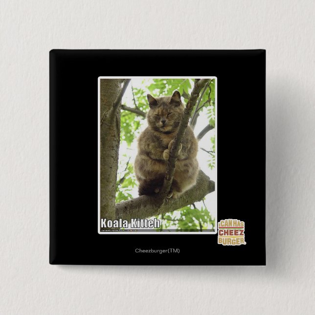 Koala Kitteh Button (Vorderseite)