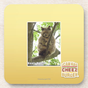 Koala Kitteh Getränkeuntersetzer