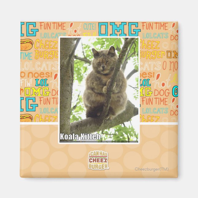 Koala Kitteh Magnet (Vorne)