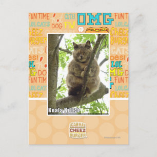 Koala Kitteh Postkarte
