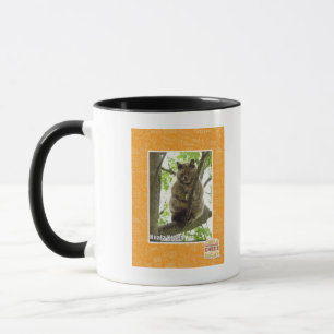 Koala Kitteh Tasse