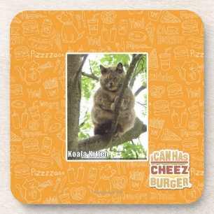 Koala Kitteh Untersetzer