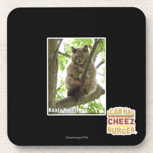 Koala Kitteh Untersetzer